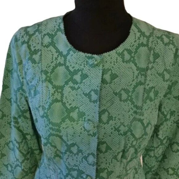 Chi by Falchi Green &Cream 100% Leather Snake Print Button Up Jacket XS NWT $189 - Picture 5 of 7